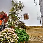 Moncada 3* Gaucín