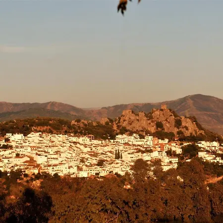 Moncada 3*