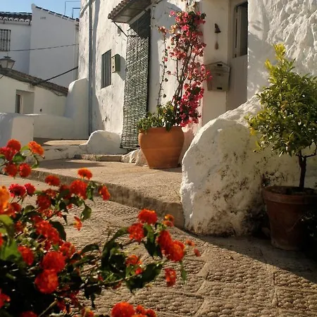Guest house Moncada